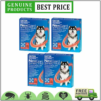 Nexgard Spectra Flea Worms Protection For Dogs 30 To 60 Kg 3612 Doses RED • $79.42