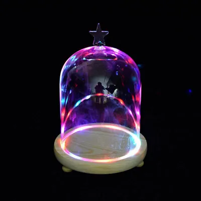 £9.95 • Buy Clear Glass Display Stand Dome Bell Jar Cloche With Wooden Base DIY Decoration