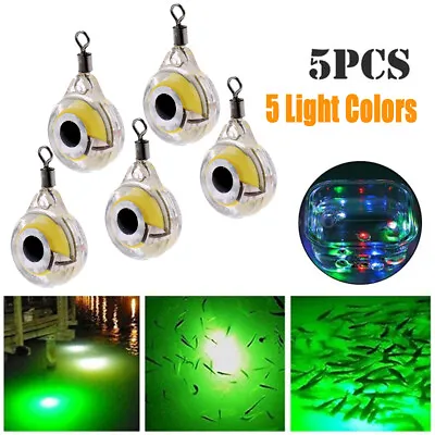 5x Mini LED Fishing Lights Night Fluorescent Glow Underwater Fishing Lure Lights • $10.51