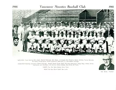 1966 Vancouver Mounties  Baseball 8x10 Team  Photo Canada Segui Vernon • $5.95