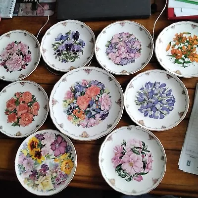 9x Queen Mothers Favourite Flowers Royal Albert Vintage Collector Plates • £35.99