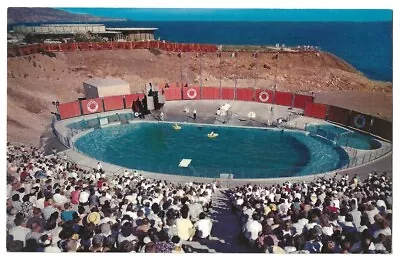 Marineland Of The Pacific Palos Verdes California C1958 Sea Arena Closed 1987 • $1.45