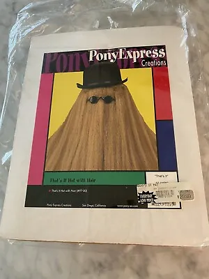 Halloween Costume Vintage Pony Express Hat With Hair • $25