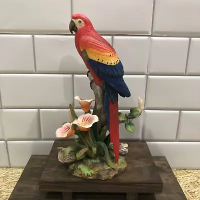 Rare Scarlet Macaw Bird Porcelain Figurine Number 9722 Andrea By Sadak  Yr 2003 • $135