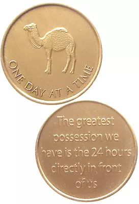 AA Recovery Bronze Affirmation Medallion - Camel/The Greatest.. (BRM133) • $2.40