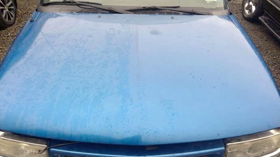 $102.70 • Buy (LOCAL PICKUP ONLY) 02 S10/S15/SONOMA TRUCK Hood