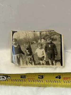 Vintage Photo Snapshot Of Young Boys And Dog  • $5.99