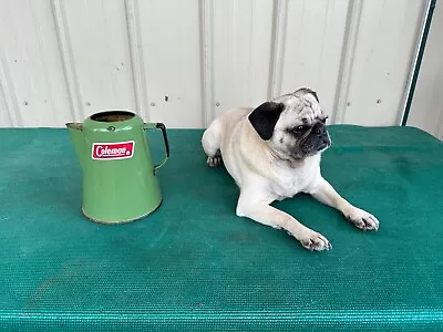 $37 • Buy Vintage Coleman Enamelware Green Camping Coffee Pot