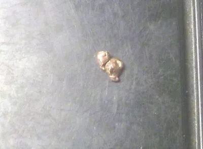 Natural Placer Gold Nugget .54 Grams Alaska Gold Low Starting Bid • $38