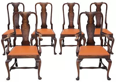 Antique Fine Quality Set Of 6 Queen Anne Revival Burr Walnut Dining Chairs C1910 • £2695