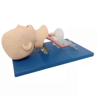 $195 • Buy Manikin Teaching Study Child Intubation Model Airway Management Trainer & Tube