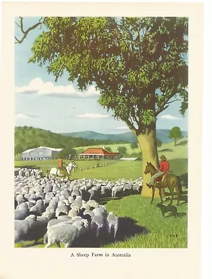 A Sheep Farm In Australia  Vintage Horses Landscape Picture Print   • $16.12