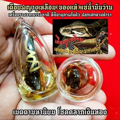 Thai Amulet Python Spur Snake Boa Gamble Talisman Lucky Buddha Money Wealth  K4 • $43.41