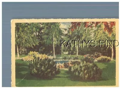 Oh Postcard S_4080 Looking North Into Meier's Wine Garden Silverton Oh • $6.98