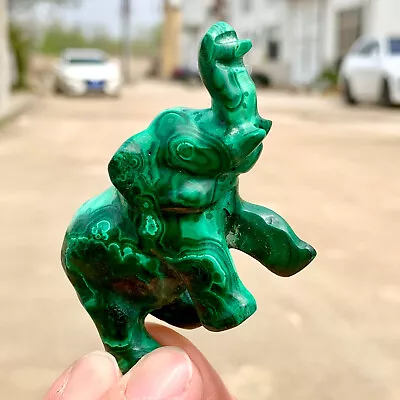 75G Rare Natural Malachite Quartz Hand Carved Elephant Crystal Healing • $0.99