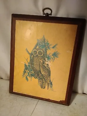 Vintage Owl Wood Wall Hanging Plaque • $14.99