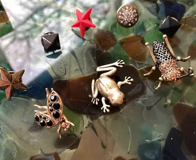 5a J. Crew Lot Of Insect Frog Bud Star Pins  • $48