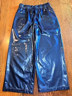 Urban Outfitters UO Pants Small Blue Shiny Wide Leg Vinyl Faux Leather  • $27.95