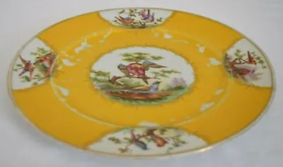 Vintage Union T Czecho-slovakia China Dinner Plate Birds Pattern 10 1/2  • $39