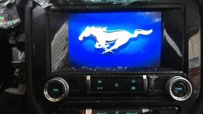 Info-GPS-TV Screen Front Display Center Dash Fits 19 MUSTANG 437567 • $150