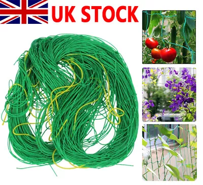 £6.38 • Buy Garden Plant Climbing Net Trellis Netting Mesh Support Fruits Vine Veggie Bean