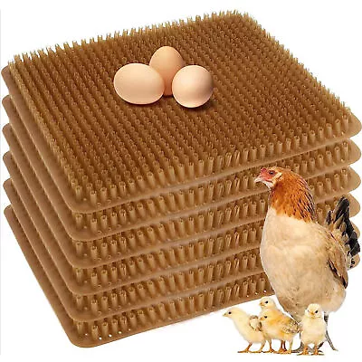 Protect Eggs From Being Crushed The Nest Box Soft Breathable Liner Reusable • $29.50
