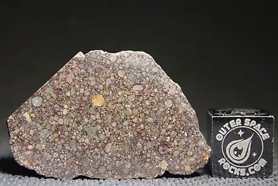 NWA 10499 LL3 Primitive Chondrite Meteorite 9.1 Gram End Cut • $31