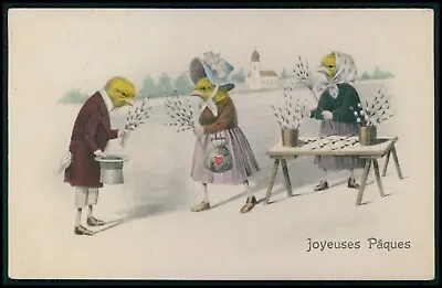 Pp Bird Chicks Chicken Poultry Fantasy Original Old 1910s Postcard Vienne Type • £4.82