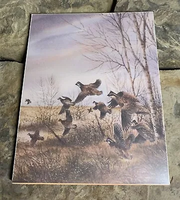 Covey Of Quail Rise Picture. Good Condition • $20
