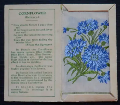 COLOURS REVERSED CORNFLOWER 1st Series Kensitas Small Silk Flower 1934 RARE • £67.50