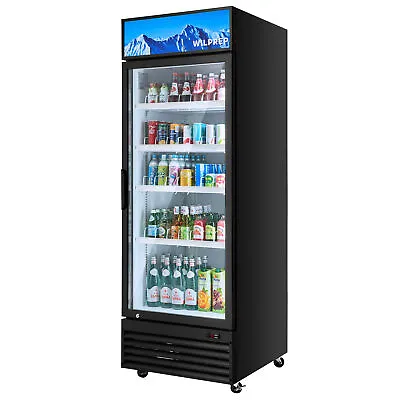 Commercial Merchandiser Glass Door Cooler Display Refrigerator 22.4 Cu.Ft. ETL • $1399.99