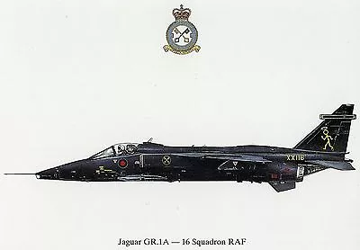 Raf Jaguar  16 Squadron  Postcard • £1.65