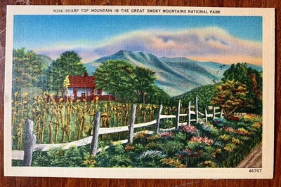 $0.99 • Buy Sharp Top Mountain In The Great Smoky Mountains National Park