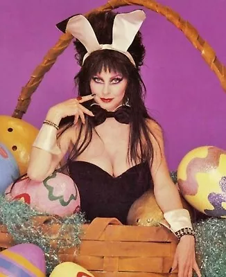 Elvira - Cassandra Peterson - As A Easter Bunny !! • $2.22