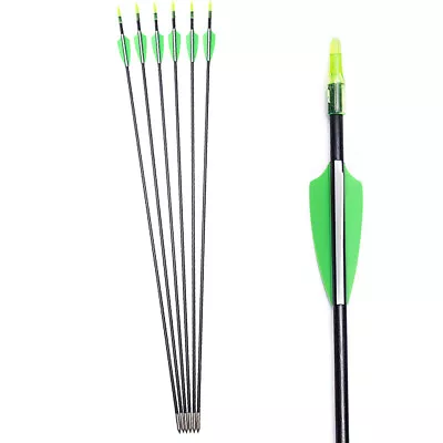 6/12X 31  Archery Fiberglass Arrows Hunting Recurve Compound Bow Quiver Practic • $16.71