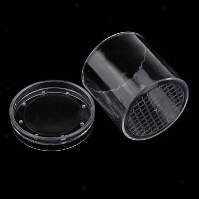 Transparent Insect Magnifying Box With Cover Kids Biology Science Knowledge • £5.28