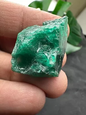 33 Carats Green Chatham Lab Grown Ruby 1 Pieces Lab Created Rough Emerald 20x15 • $130