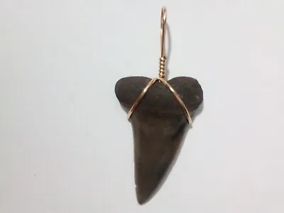 Beautiful 1.5 Mako Sharks Tooth Pendant With Gold Filled Wire Wrap • $15.99