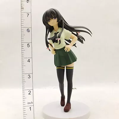 #9E9430 Japan Anime Figure Haganai • $4.99