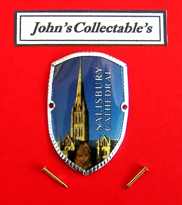 Salisbury Cathedral Walking / Hiking Stick Badge / Mountlot Fb • £3.25