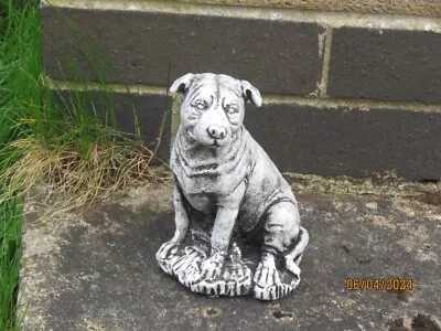 Staffordshire Bull Terrier (Concrete Garden Ornament) • £7