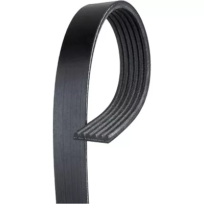 6K962AP Gates Drive Belt For Mercedes Range Rover E Class S Jeep Cherokee Sport • $26.07