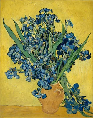 Canvas Wall Art Van Gogh Painting Print Home Decor-Irises May 1890 - 1890 • $2.90