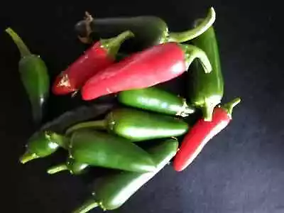 25 Red Green Jalapeno Chilli Seeds - 100% Genuine From Ripe Pods  -free Postage • £2.20