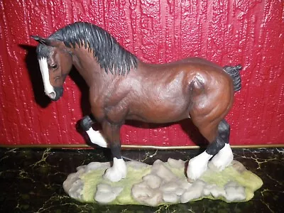 £80 • Buy Teviotdale  Shire  Horse   