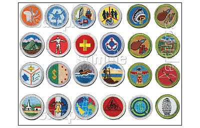 SCOUT MERIT Badge Edible Cake Decoration Sheet EAGLE Boy Image Topper Custom • $9.99