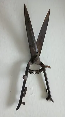 Vintage Garden Grass Clippers Shears Sharp  • $19.82