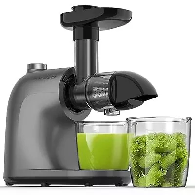  Juicer Machines Slow Masticating Juicer For Vegetable And Fruit Cold Gray • $89.15