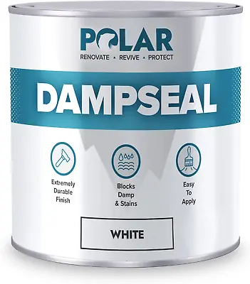  Anti Damp Paint White 500Ml Damp Proof Paint Stain Blocker Seals In One Coat F • £44.66