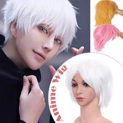 Mens Wig Hair Short Cosplay Wig Halloween Fancy Dress Party Male Colored Hair US • $15.58